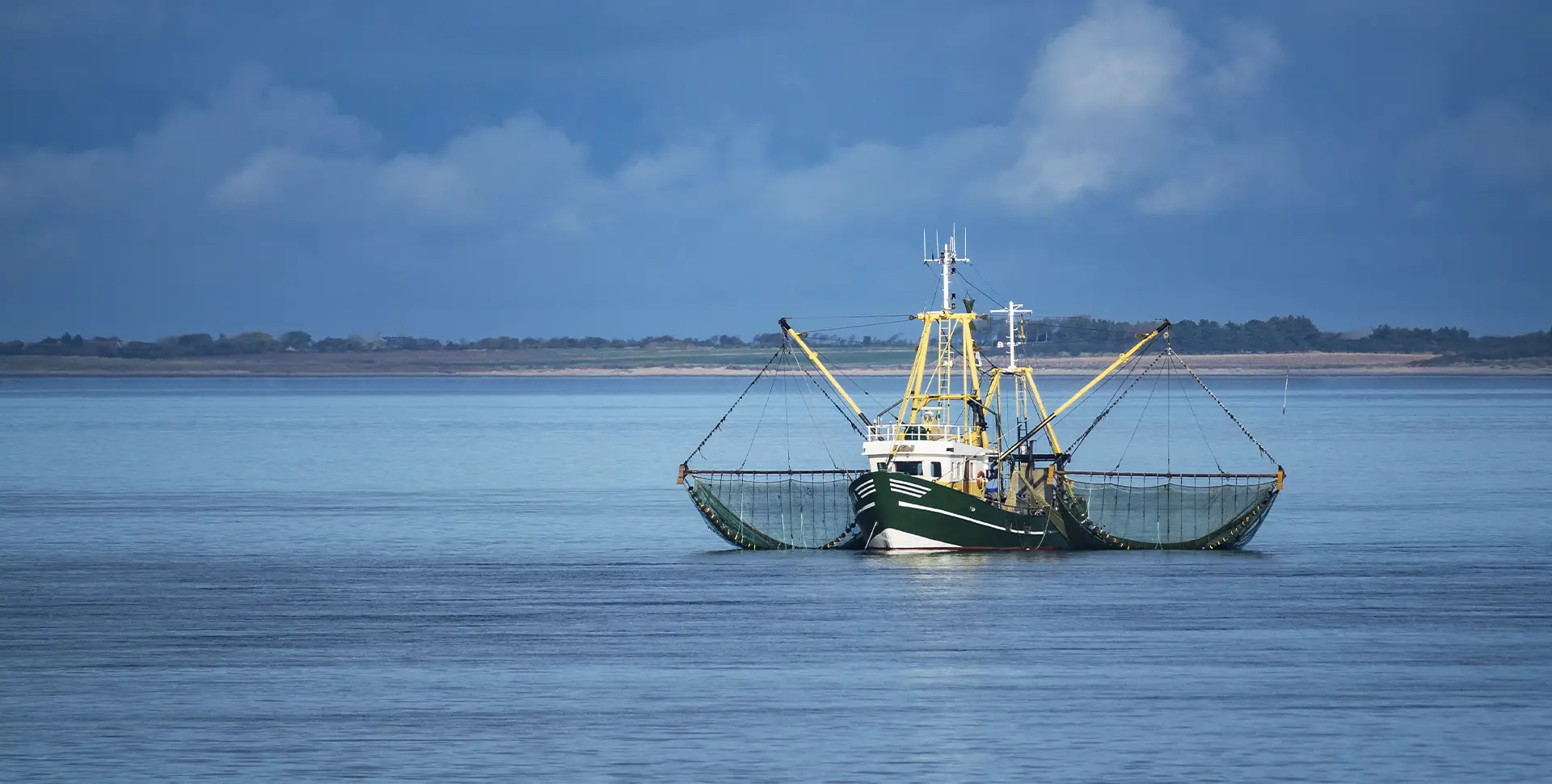 Frescura y calidad que cruzan fronteras. mygseafood