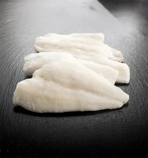 basa importación mgseafood