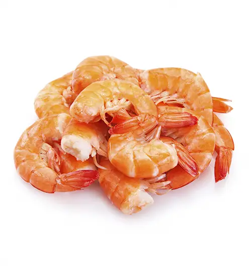 camarón importación mgseafood