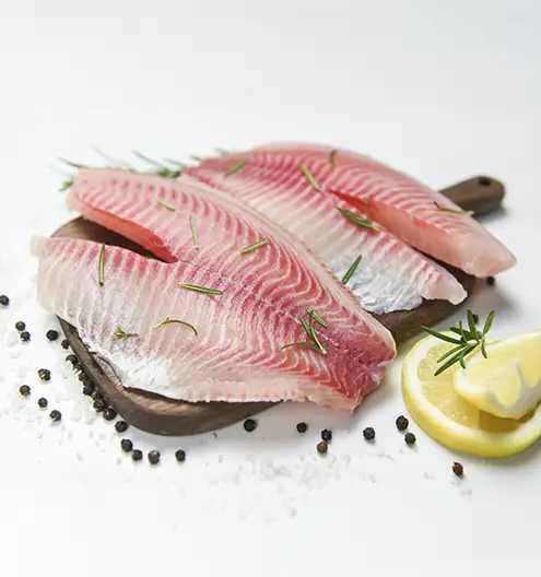 tilapia importación mgseafood